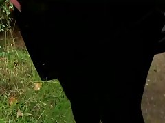 Under den erotiska dans bit auddi började att onanera